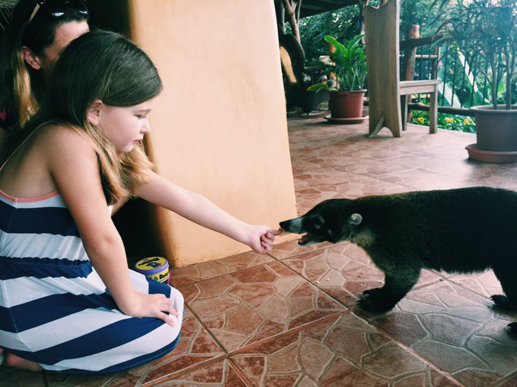 feeding coatis at villa mango b&b playa pelada nosara