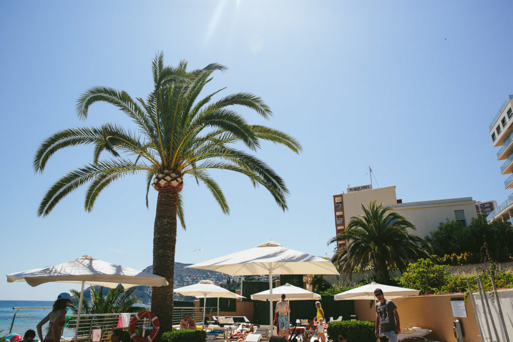 SOL Y MAR CALPE COSTA BLANCA WEDDING PHOTOGRAPHER PALM TREES TERRACE